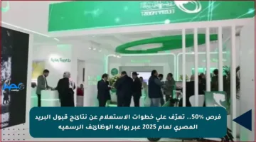 فرص %50.. تعرّف على خطوات الاستعلام عن نتائج قبول البريد المصري لعام 2025 عبر بوابة الوظائف الرسمية